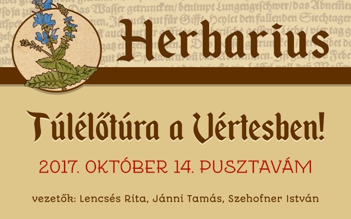 Rendhagyó Herbarius program – túlélőtúra lesz hétvégén a Vértesben