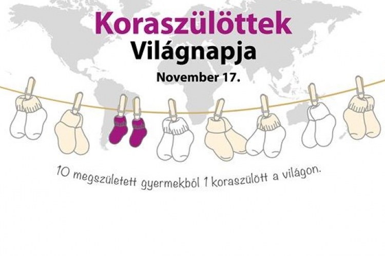 November 17. a Koraszülöttek Világnapja - öltözzünk Fehérváron is lilába!