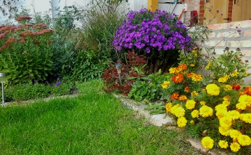 Októberi feladatok a kertben - kertészmérnök tanácsai az őszi munkához