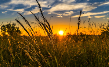 Kánikulával indul a hét, majd lehűlés érkezik