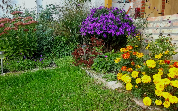 Októberi feladatok a kertben - kertészmérnök tanácsai az őszi munkához
