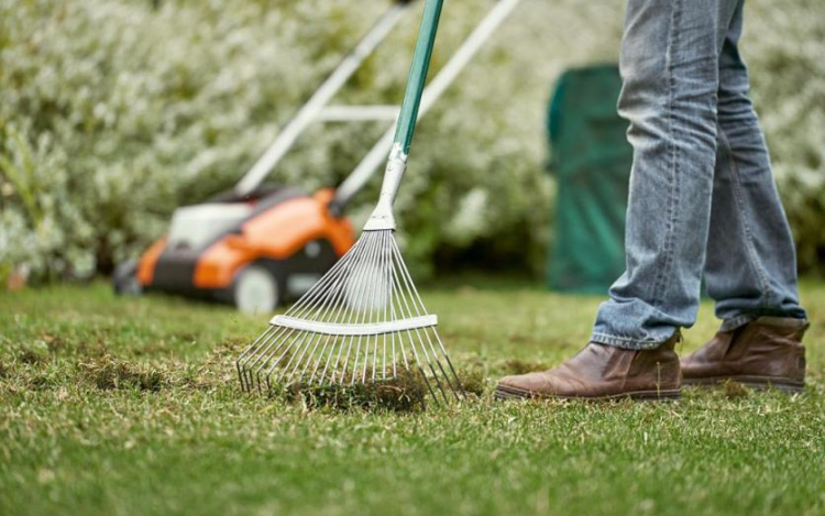 Így lehet környezetbarátabb módon nyírni a füvet